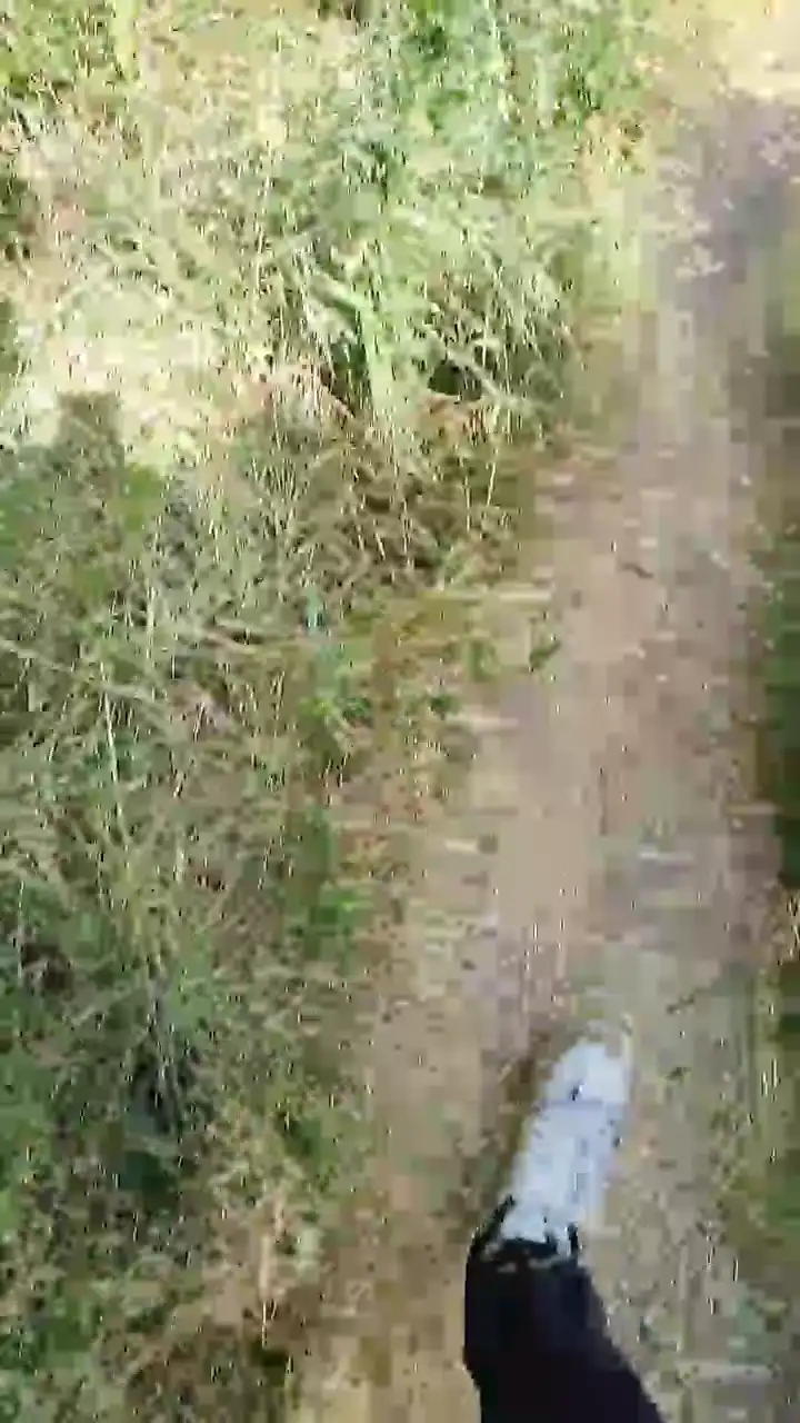 Emanuele033 - Cam4 Free Video - 2025 01-28 04:49:50