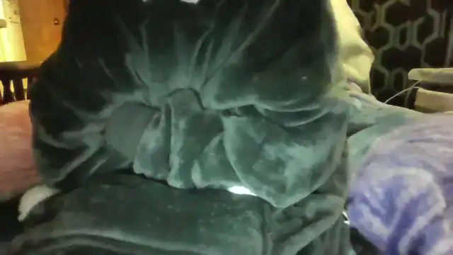 Feelin_Dat - Myfreecams Free Video - 2025 01-03 23:49:02