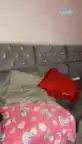 G-Karimpink - Camsoda Free Video - 2025 03-01 15:42:49
